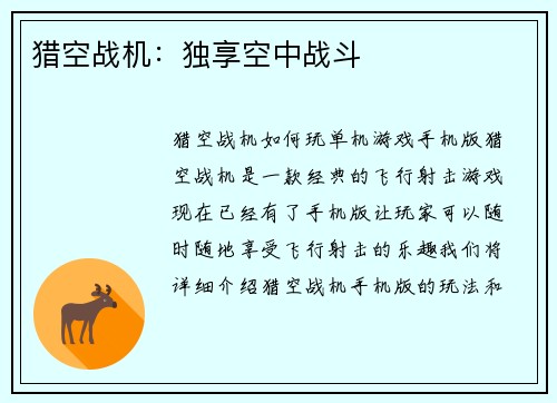 猎空战机：独享空中战斗