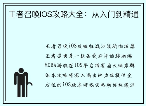 王者召唤IOS攻略大全：从入门到精通